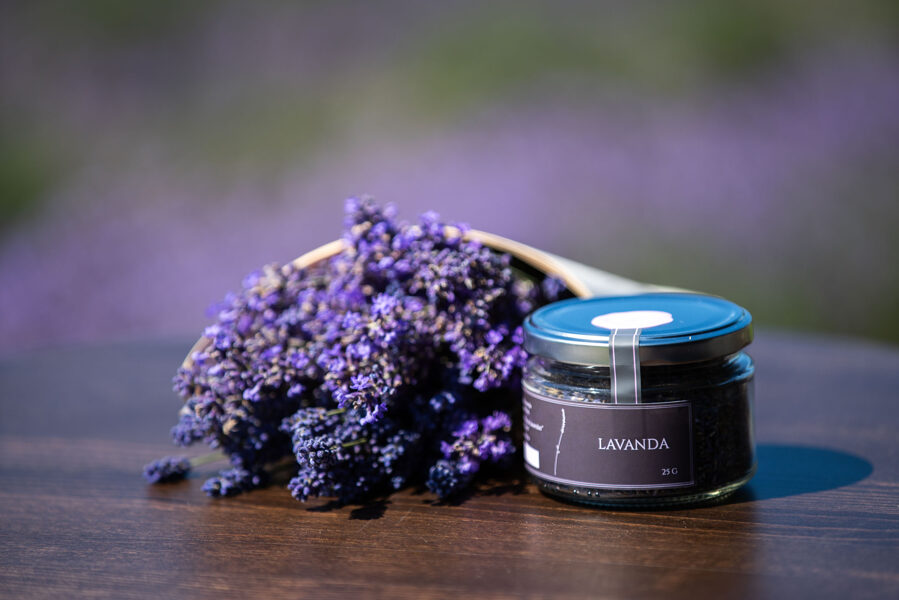 LAVANDA